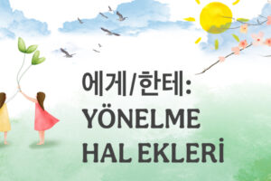 -E HAL EKLERİ