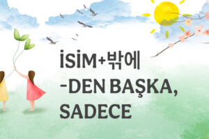 -DEN BAŞKA, SADECE, YALNIZCA EKİ: